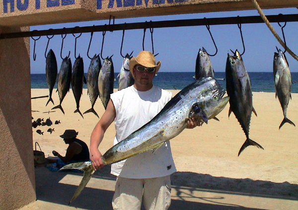 Dorado_Tuna