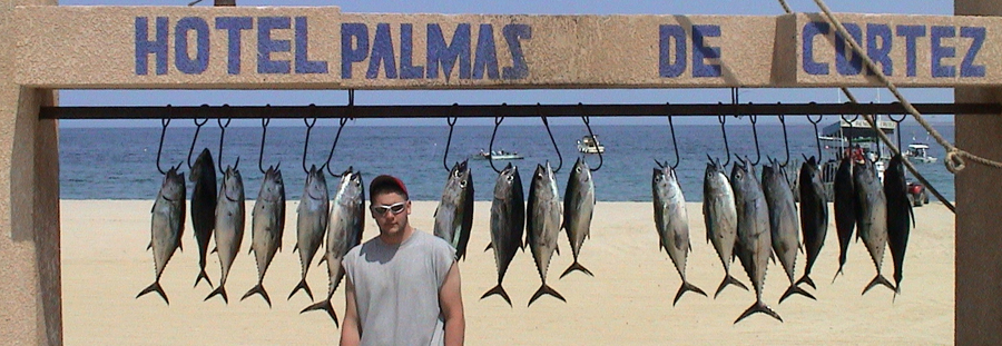 tuna